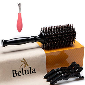 Boar Bristle Round Hairbrush for Blow Drying with Medium 2.4" Wooden Barrel